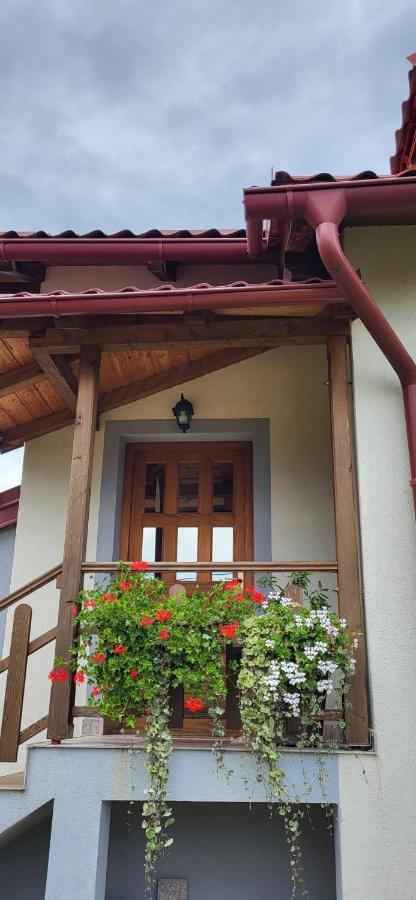 House Sara Apartment Korenica Bagian luar foto