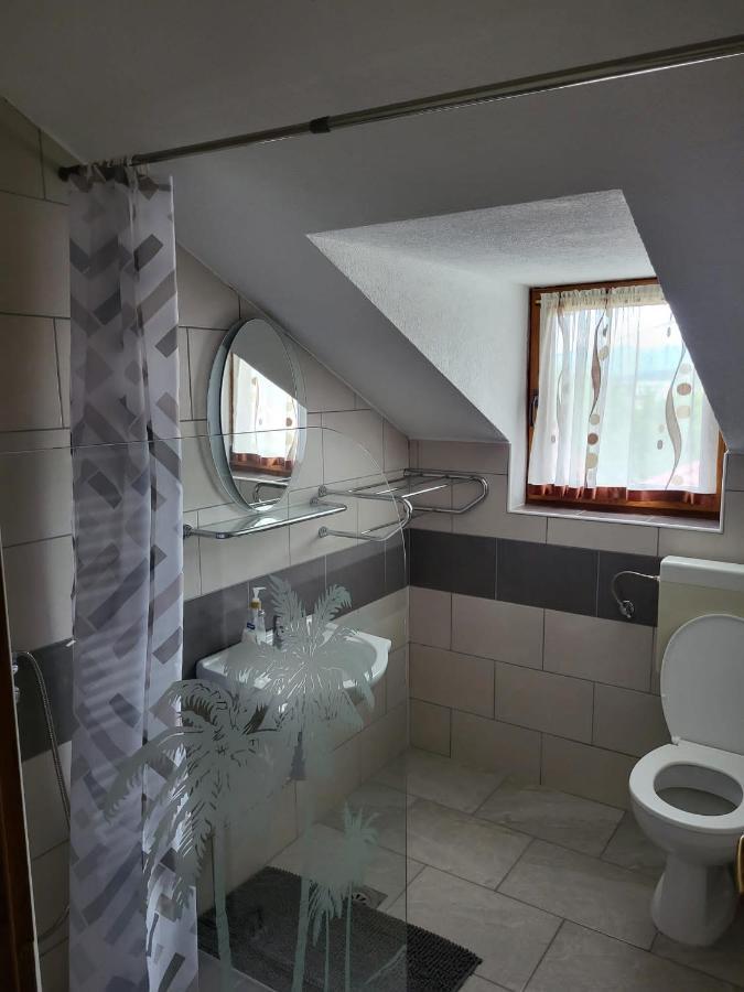 House Sara Apartment Korenica Bagian luar foto