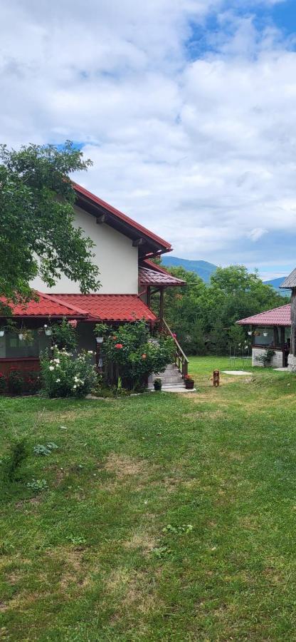 House Sara Apartment Korenica Bagian luar foto