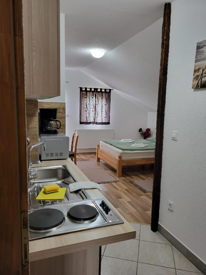 House Sara Apartment Korenica Bagian luar foto