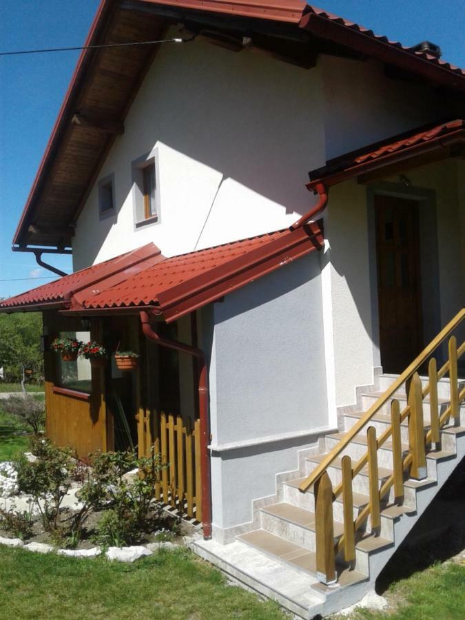 House Sara Apartment Korenica Bagian luar foto
