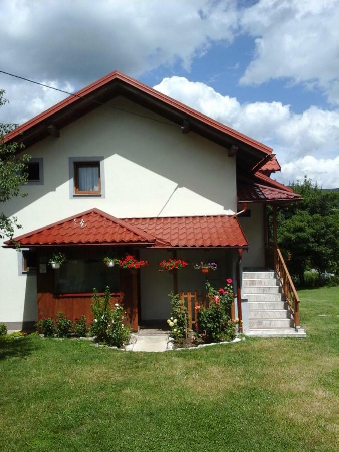 House Sara Apartment Korenica Bagian luar foto